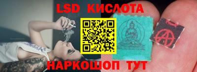 Альфа ПВП Заводоуковск