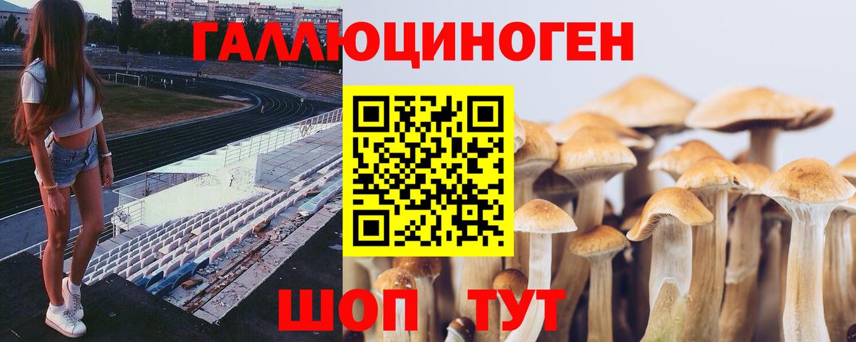 Бошки Шишки Хабаровск