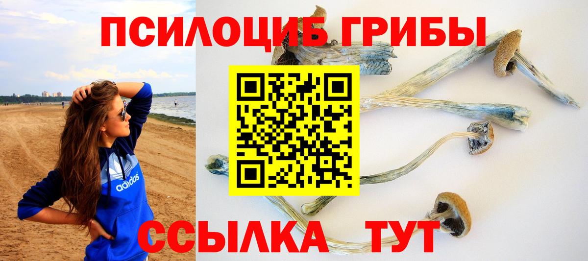 Псилоцибиновые грибы GOLDEN TEACHER  Вход с VPN  Хабаровск 