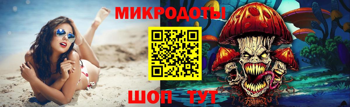 Галлюциногенные грибы Psilocybine cubensis Хабаровск
